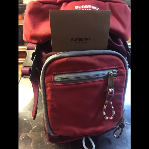 Burberry  Authentic Small Backpack Looks New - Picture 1 of 16